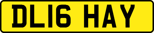 DL16HAY