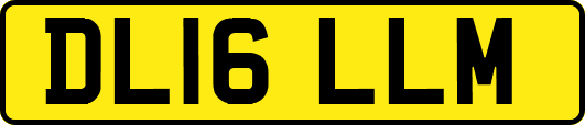 DL16LLM