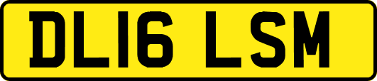 DL16LSM