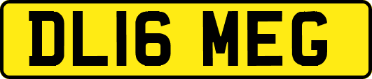 DL16MEG