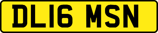 DL16MSN