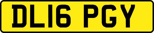 DL16PGY