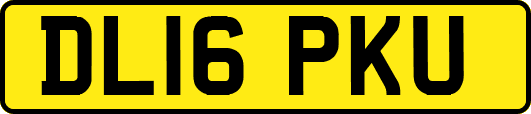 DL16PKU