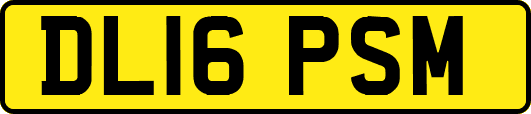 DL16PSM