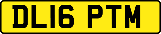 DL16PTM