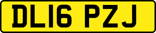 DL16PZJ