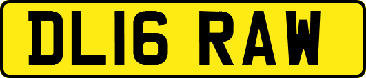 DL16RAW