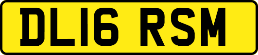 DL16RSM
