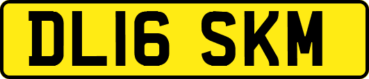 DL16SKM