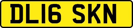 DL16SKN