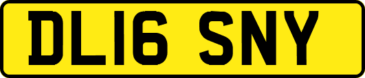 DL16SNY