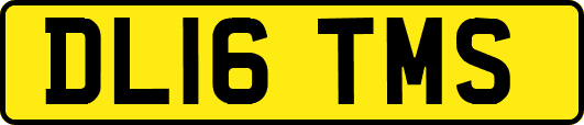 DL16TMS