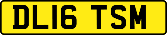 DL16TSM