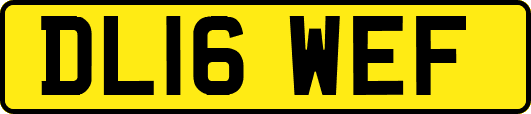 DL16WEF