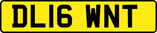 DL16WNT