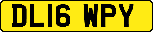 DL16WPY