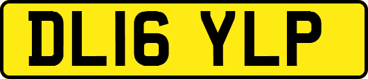 DL16YLP
