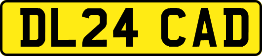 DL24CAD