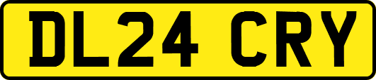 DL24CRY