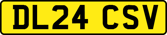 DL24CSV
