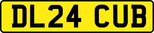DL24CUB