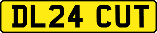 DL24CUT