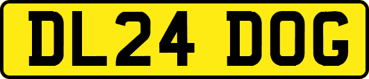 DL24DOG