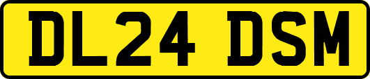 DL24DSM