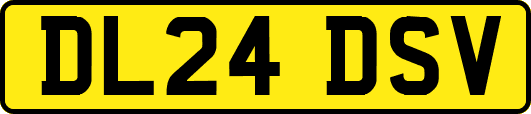 DL24DSV