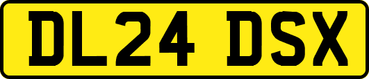DL24DSX