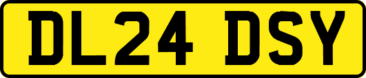 DL24DSY