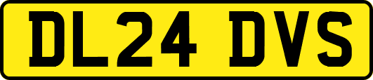 DL24DVS