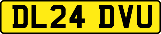DL24DVU