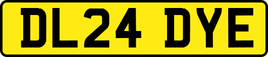 DL24DYE