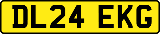 DL24EKG