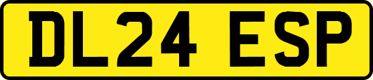 DL24ESP
