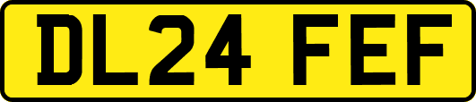 DL24FEF