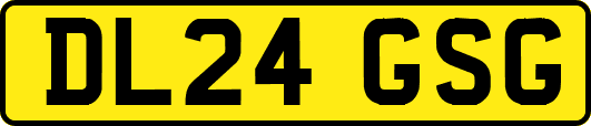 DL24GSG