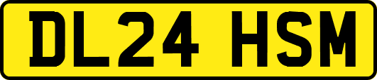 DL24HSM