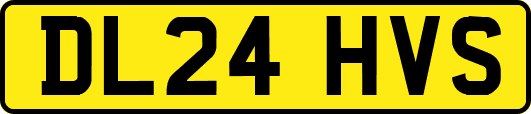 DL24HVS