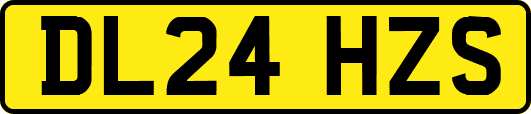 DL24HZS
