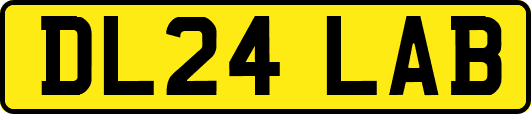 DL24LAB