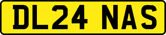 DL24NAS