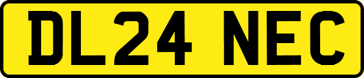 DL24NEC
