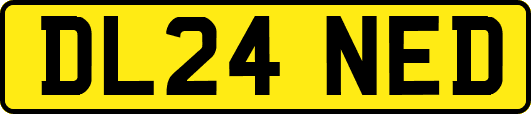DL24NED