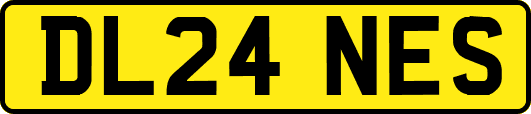 DL24NES