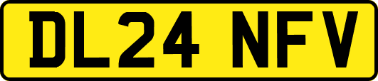 DL24NFV