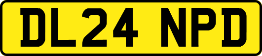 DL24NPD