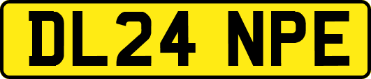 DL24NPE