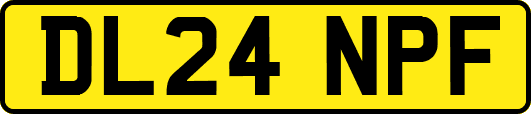 DL24NPF